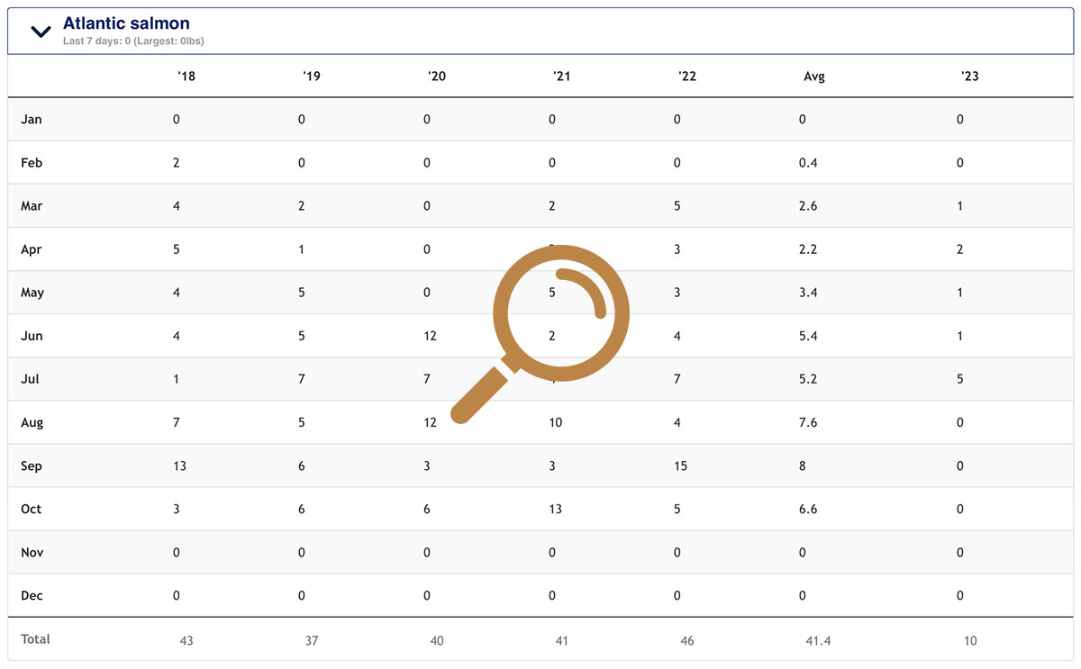 Stats Table